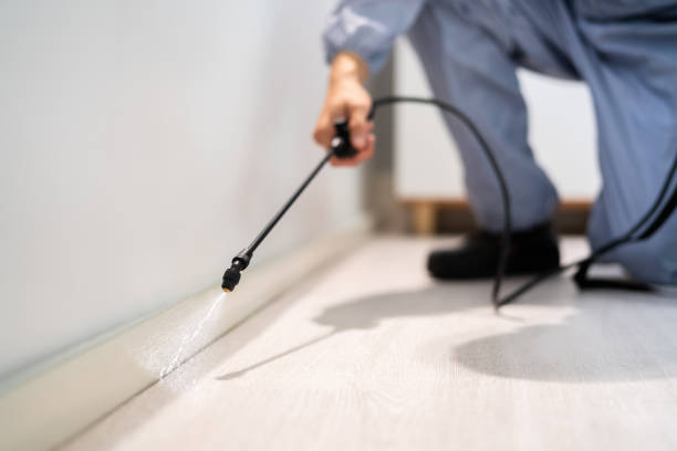 Licensed Fumigation Services service in St. Albans, VT - Nex Pest Control