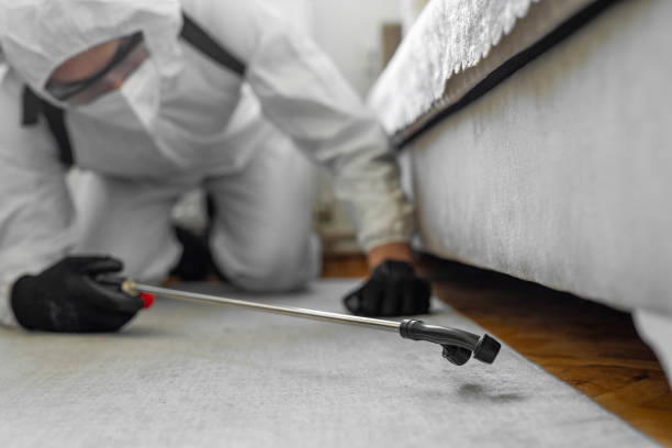 Professional Fumigation Services technician working in St. Albans, VT