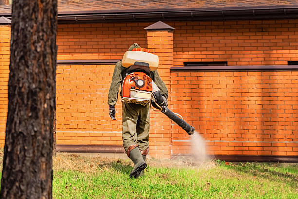 Trusted Termite Control service in St. Albans, VT - Nex Pest Control